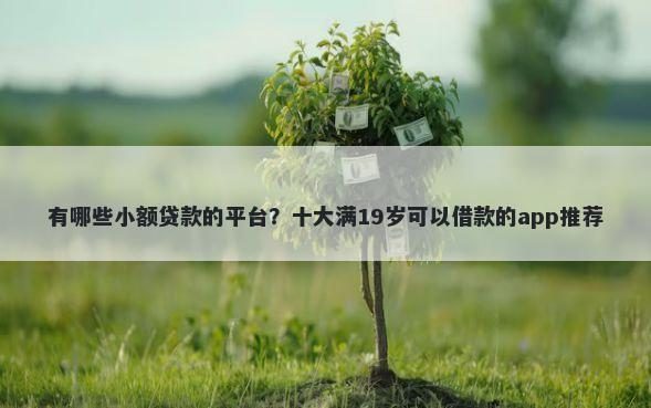 有哪些小额贷款的平台？十大满19岁可以借款的app推荐