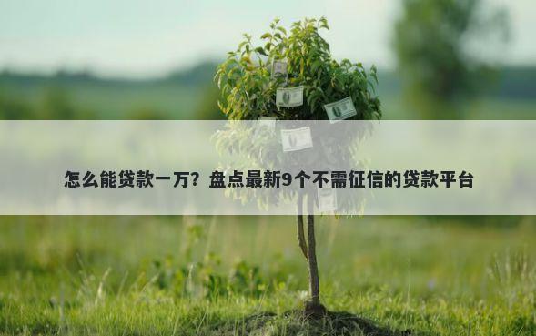 怎么能贷款一万？盘点最新9个不需征信的贷款平台
