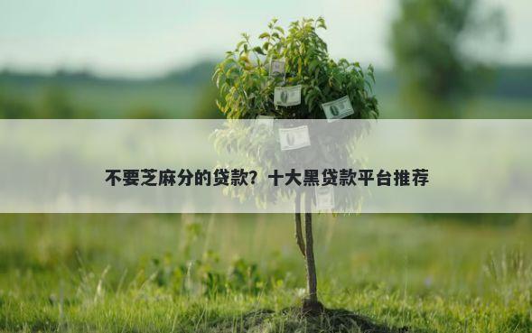 不要芝麻分的贷款？十大黑贷款平台推荐