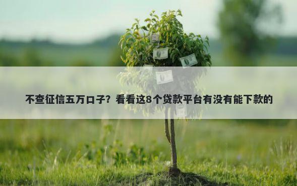 不查征信五万口子？看看这8个贷款平台有没有能下款的
