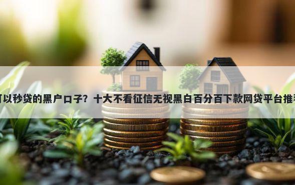 可以秒贷的黑户口子？十大不看征信无视黑白百分百下款网贷平台推荐