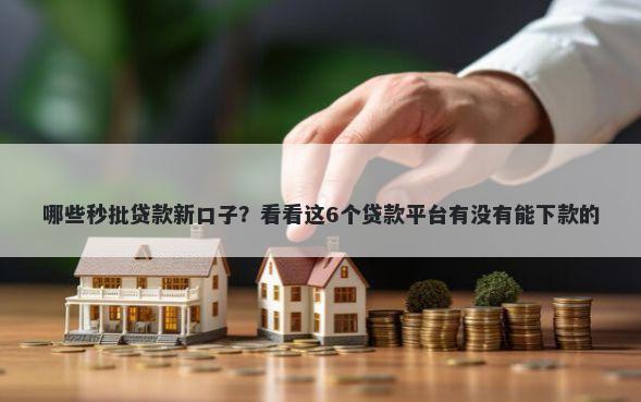 哪些秒批贷款新口子？看看这6个贷款平台有没有能下款的
