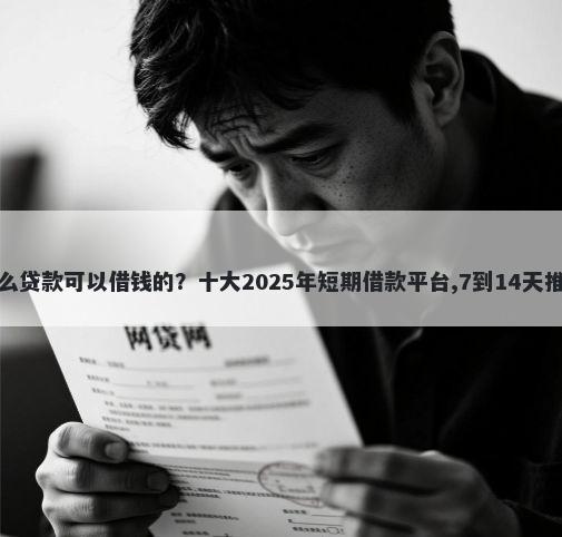 什么贷款可以借钱的？十大2025年短期借款平台,7到14天推荐