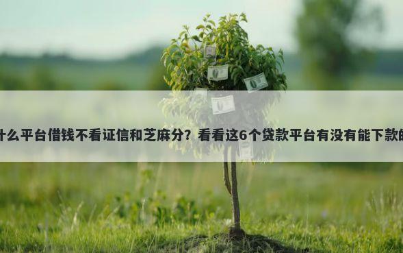 什么平台借钱不看证信和芝麻分？看看这6个贷款平台有没有能下款的
