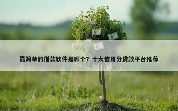 最简单的借款软件是哪个？十大信用分贷款平台推荐