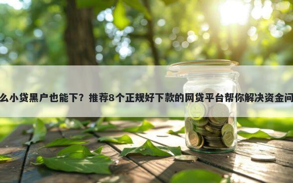 什么小贷黑户也能下？推荐8个正规好下款的网贷平台帮你解决资金问题