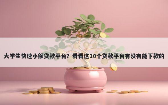 大学生快速小额贷款平台？看看这10个贷款平台有没有能下款的