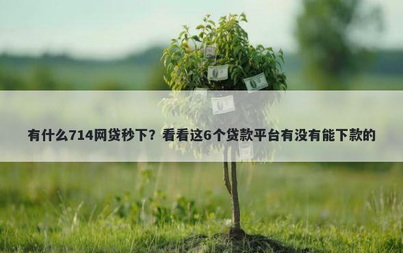 有什么714网贷秒下？看看这6个贷款平台有没有能下款的