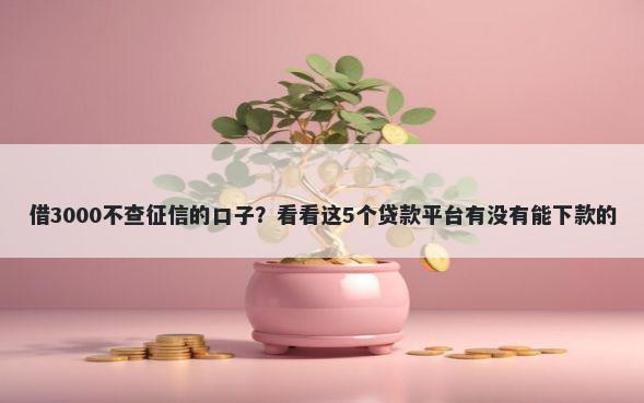 借3000不查征信的口子？看看这5个贷款平台有没有能下款的