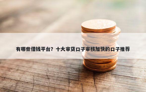 有哪些借钱平台？十大审贷口子审核加快的口子推荐