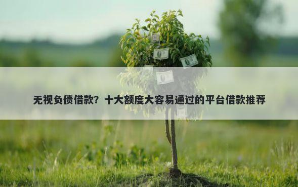 无视负债借款？十大额度大容易通过的平台借款推荐