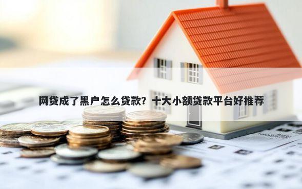 网贷成了黑户怎么贷款？十大小额贷款平台好推荐