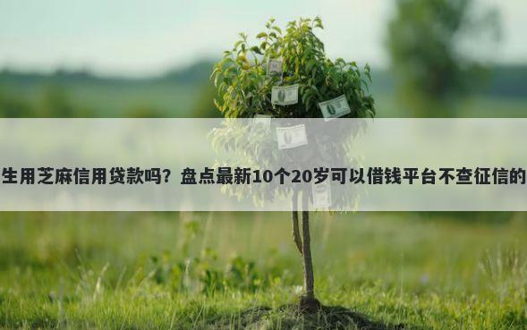 大学生用芝麻信用贷款吗？盘点最新10个20岁可以借钱平台不查征信的口子