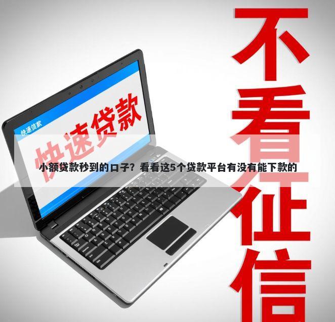 小额贷款秒到的口子？看看这5个贷款平台有没有能下款的