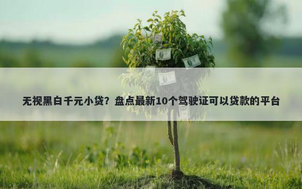 无视黑白千元小贷？盘点最新10个驾驶证可以贷款的平台