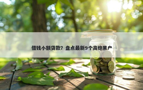借钱小额贷款？盘点最新9个高炮黑户