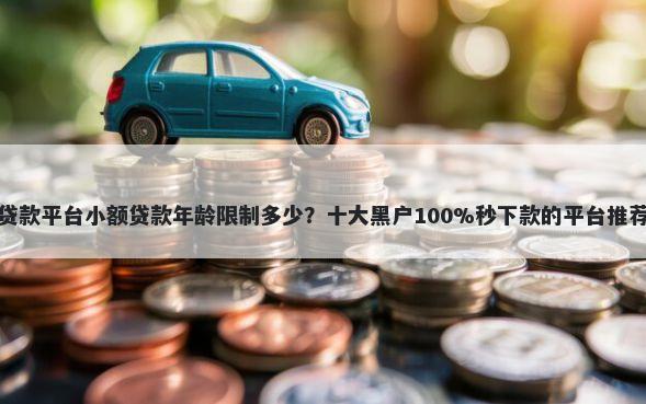 贷款平台小额贷款年龄限制多少？十大黑户100%秒下款的平台推荐