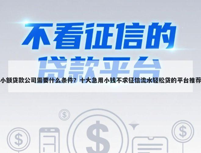 小额贷款公司需要什么条件？十大急用小钱不求征信流水轻松贷的平台推荐