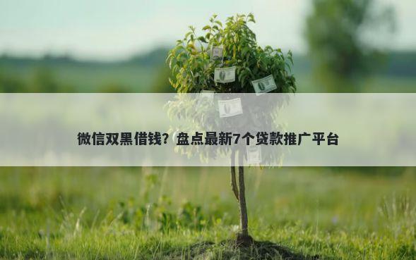 微信双黑借钱？盘点最新7个贷款推广平台