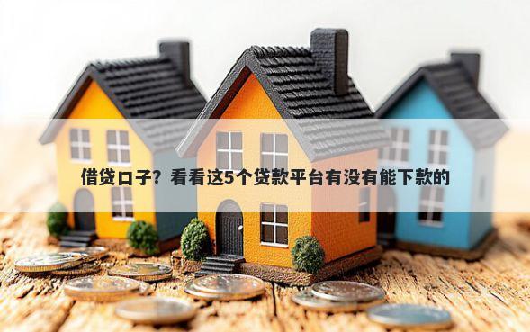 借贷口子？看看这5个贷款平台有没有能下款的