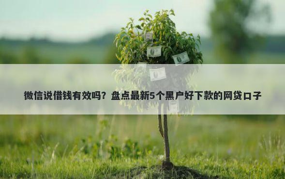 微信说借钱有效吗？盘点最新5个黑户好下款的网贷口子