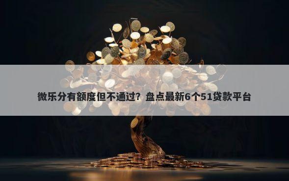 微乐分有额度但不通过？盘点最新6个51贷款平台