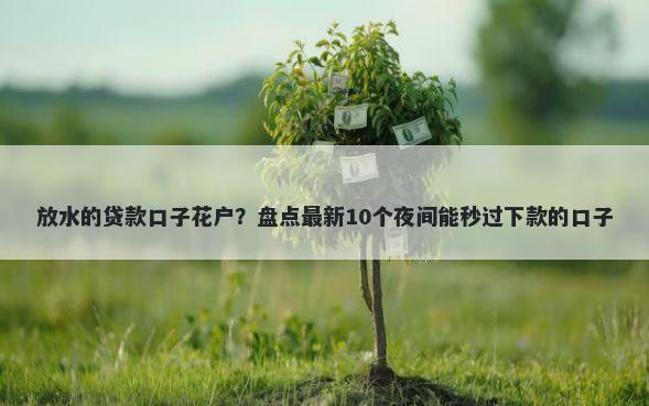 放水的贷款口子花户？盘点最新10个夜间能秒过下款的口子