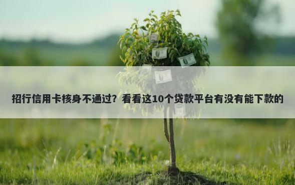 招行信用卡核身不通过？看看这10个贷款平台有没有能下款的
