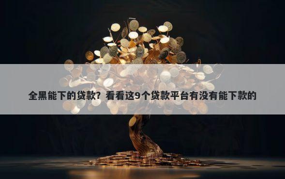 全黑能下的贷款？看看这9个贷款平台有没有能下款的