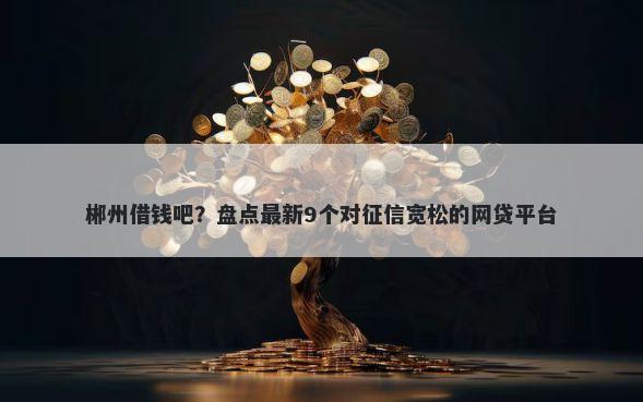 郴州借钱吧？盘点最新9个对征信宽松的网贷平台