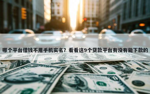 哪个平台借钱不用手机实名？看看这9个贷款平台有没有能下款的