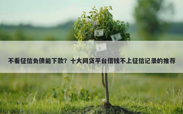 不看征信负债能下款？十大网贷平台借钱不上征信记录的推荐