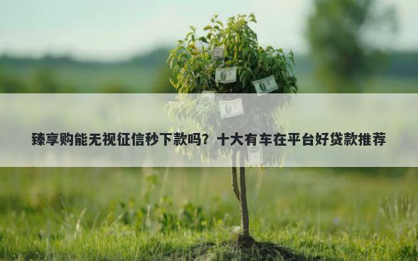 臻享购能无视征信秒下款吗？十大有车在平台好贷款推荐