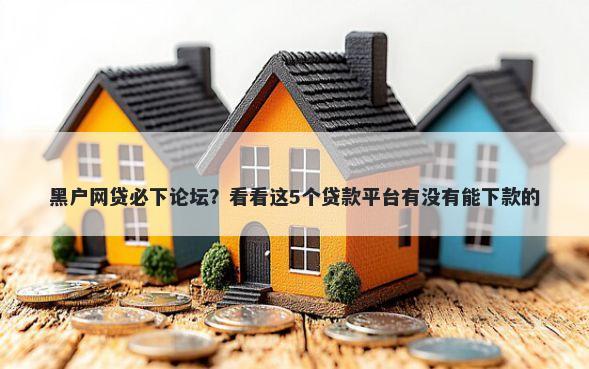 黑户网贷必下论坛？看看这5个贷款平台有没有能下款的