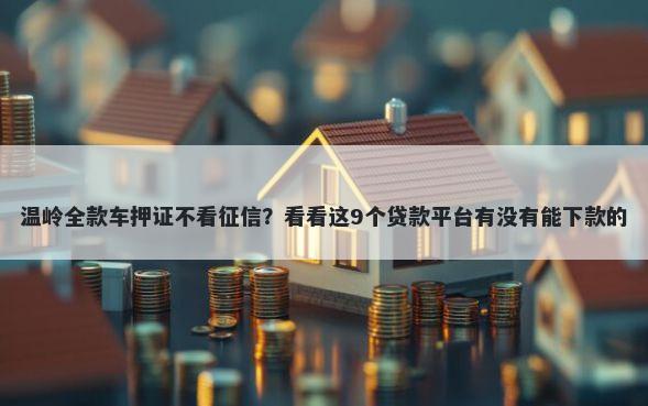 温岭全款车押证不看征信？看看这9个贷款平台有没有能下款的