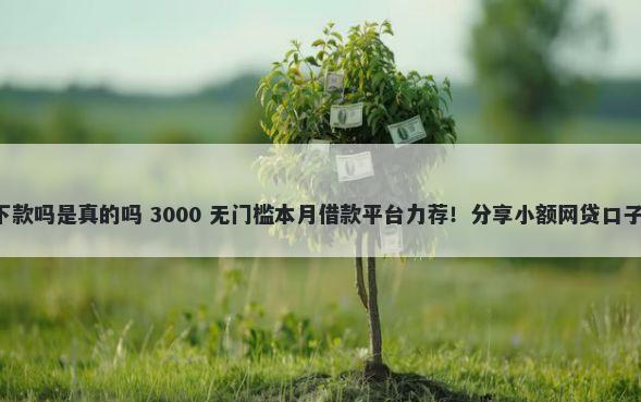 银树信用贷款好下款吗是真的吗 3000 无门槛本月借款平台力荐！分享小额网贷口子3000无门槛借款