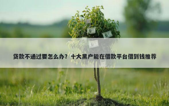 贷款不通过要怎么办？十大黑户能在借款平台借到钱推荐