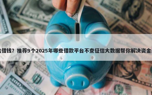 呗信借钱？推荐9个2025年哪些借款平台不查征信大数据帮你解决资金问题
