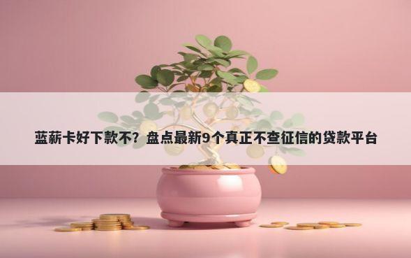 蓝薪卡好下款不？盘点最新9个真正不查征信的贷款平台