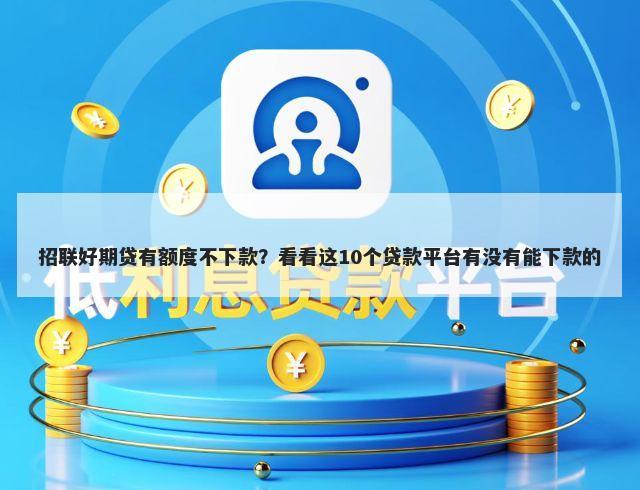 招联好期贷有额度不下款？看看这10个贷款平台有没有能下款的