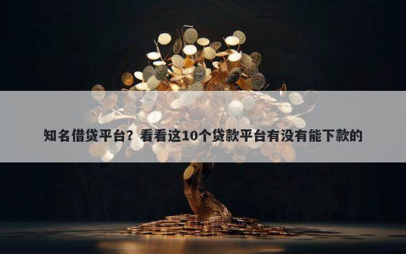 知名借贷平台？看看这10个贷款平台有没有能下款的