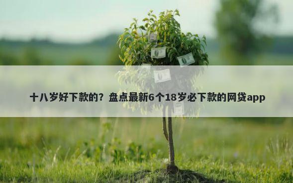 十八岁好下款的？盘点最新6个18岁必下款的网贷app