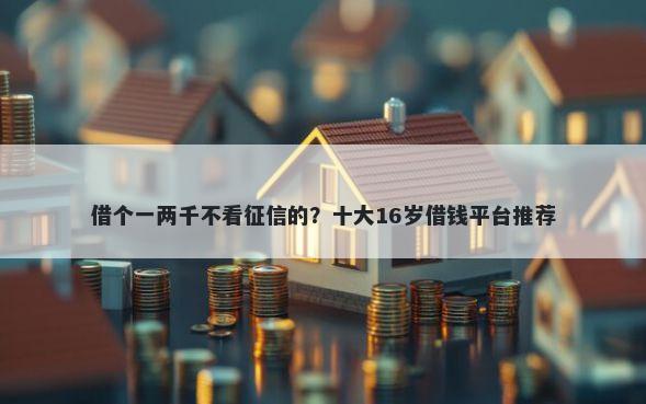 借个一两千不看征信的？十大16岁借钱平台推荐