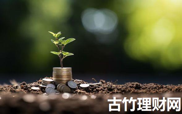 身份证借款平台不查征信平台2025年专业解析分析！本篇为您深度严筛！