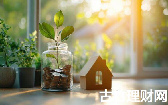 什么地方可以借到10万2025年快加入了！本文为您细致验证！