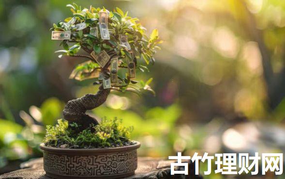 黑户微信公众号借款2025年速贷教程奉上！归纳​这5个18岁能网贷的平台