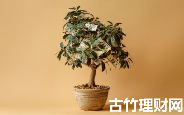 有哪些贷款平台18岁可以贷款的2025年容易过的能挑的范围不小！本文为您深入推选这五个黑户借钱口子！