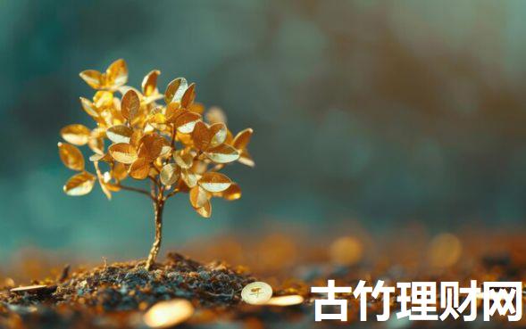 有哪些可靠的借款2025年小白贷款指南！顺便汇总这5个网贷平台很可靠